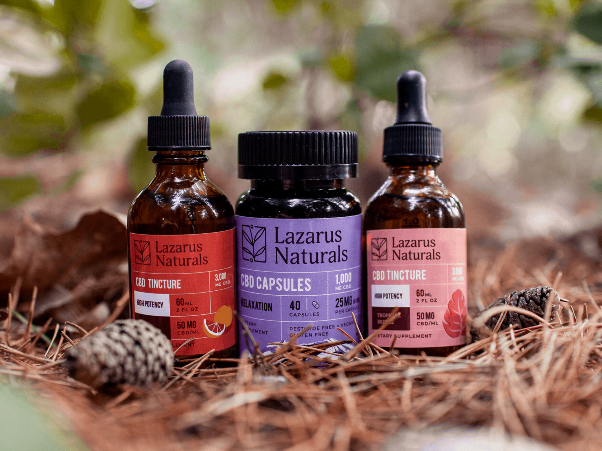 coupon for lazarus naturals